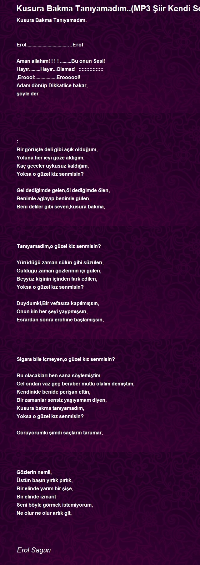 Erol Sagun