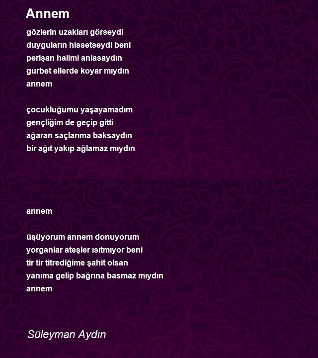 Süleyman Aydın