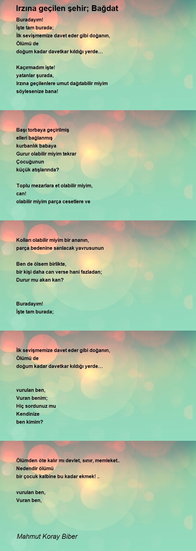Mahmut Koray Biber