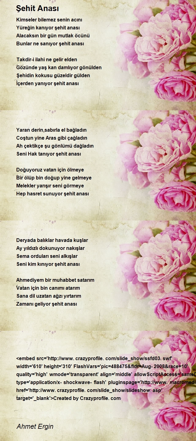 Ahmet Ergin