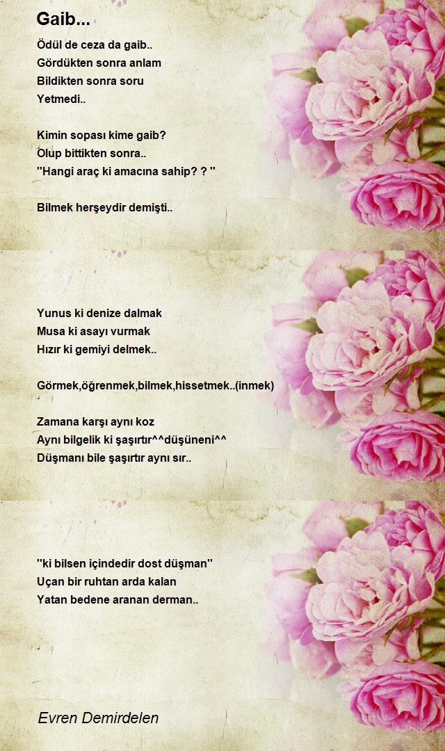 Evren Demirdelen