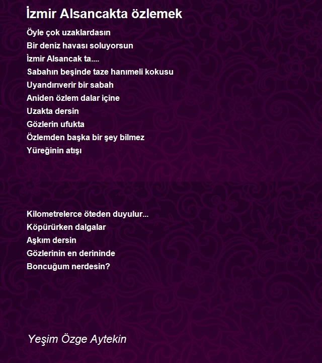 Yeşim Özge Aytekin