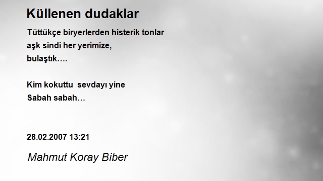 Mahmut Koray Biber