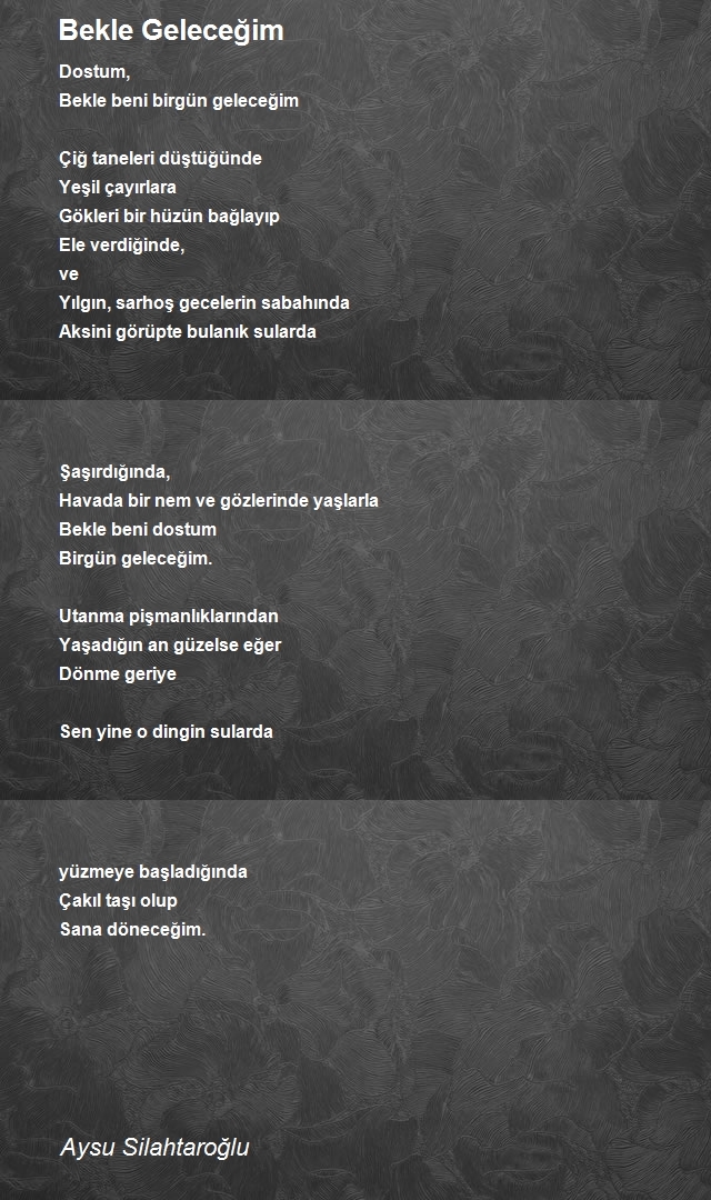 Aysu Silahtaroğlu