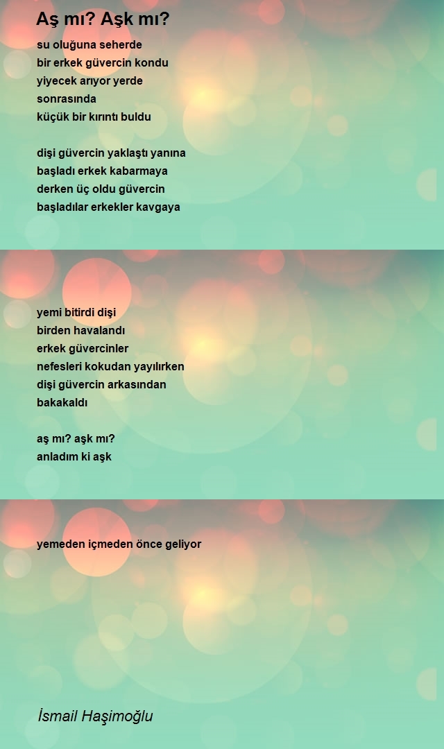 İsmail Haşimoğlu