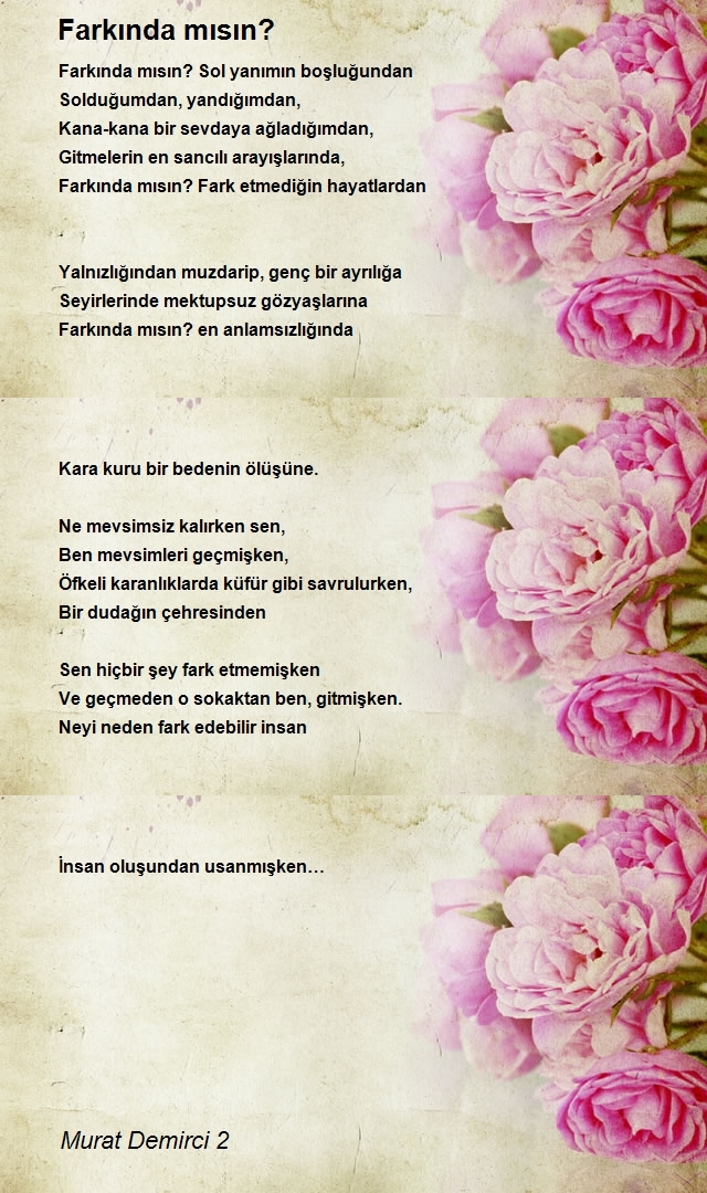 Murat Demirci 2
