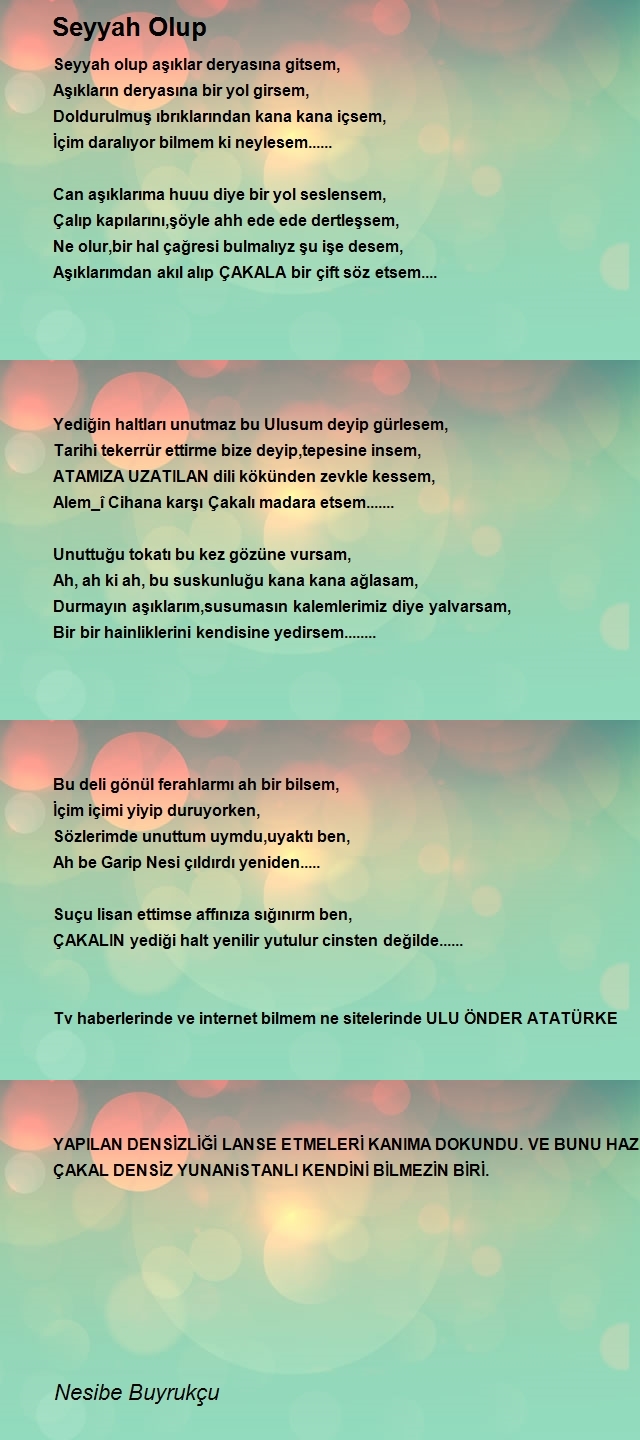 Nesibe Buyrukçu