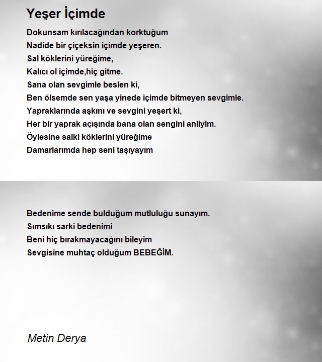 Metin Derya
