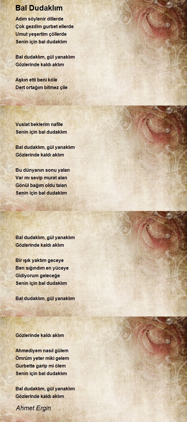 Ahmet Ergin