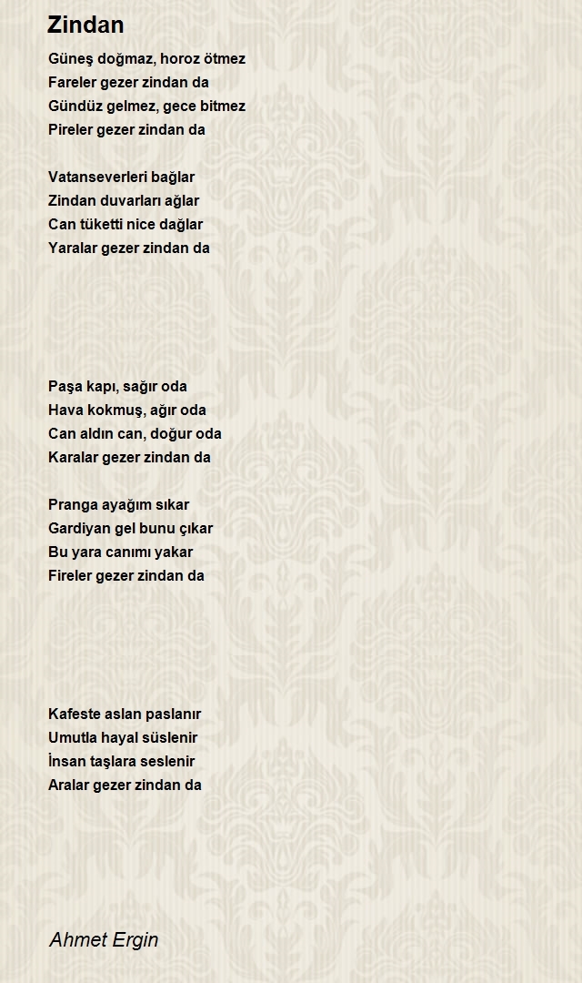 Ahmet Ergin