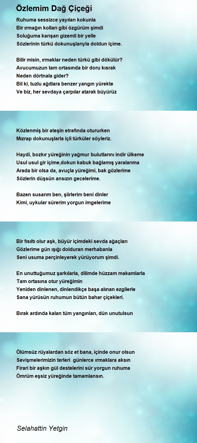 Selahattin Yetgin