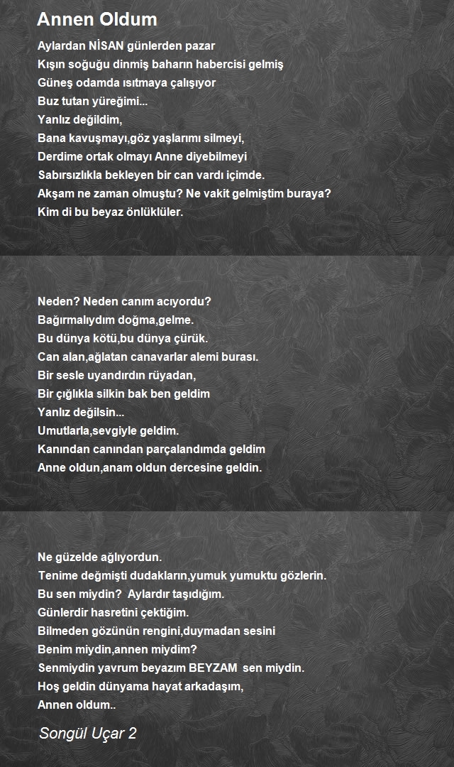 Songül Uçar 2