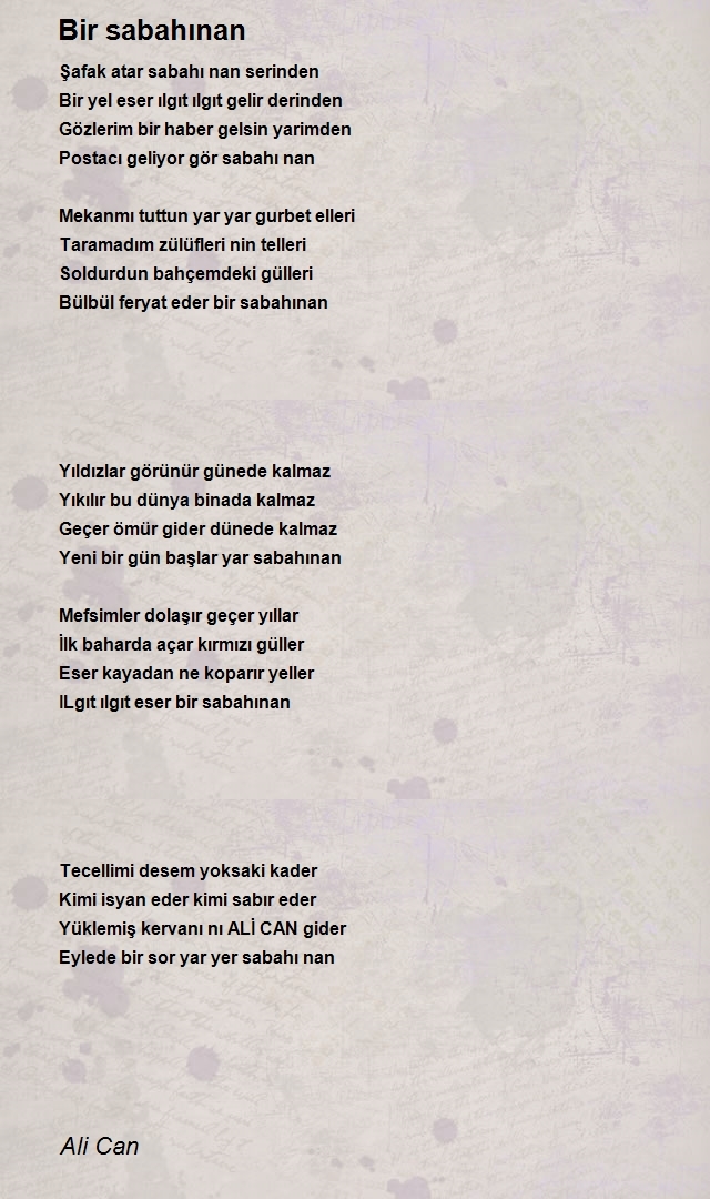 Ali Can