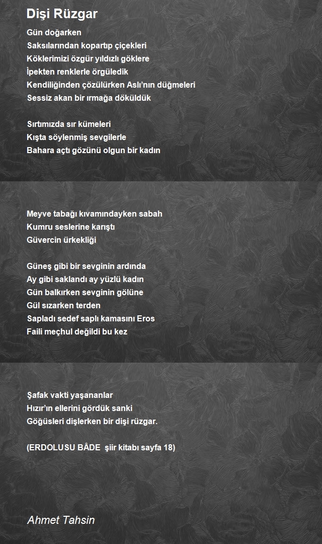 Ahmet Tahsin