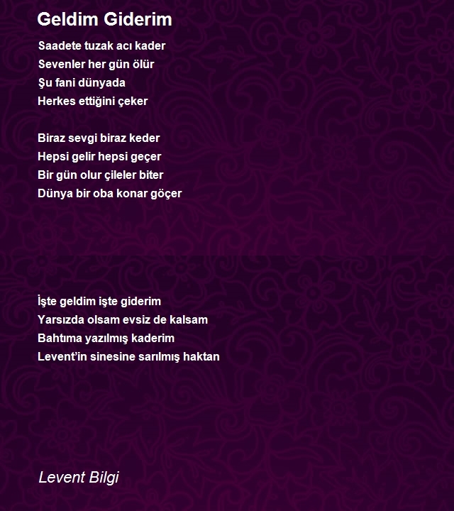 Levent Bilgi