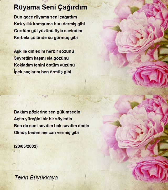 Tekin Büyükkaya
