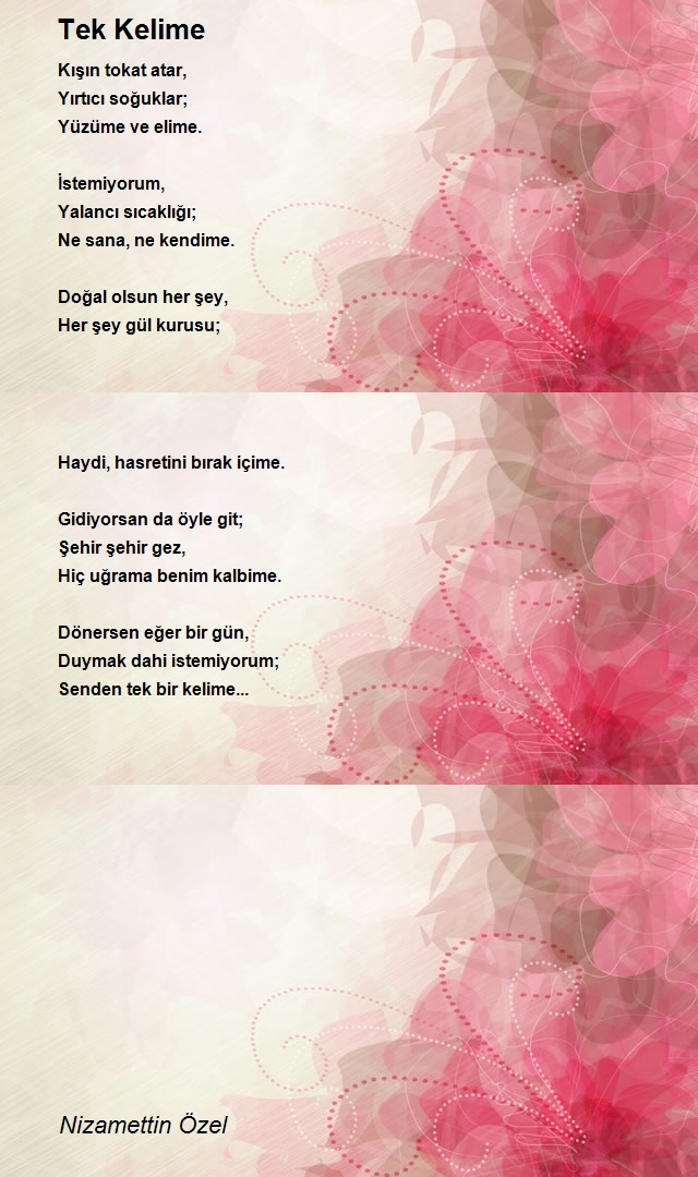 Nizamettin Özel