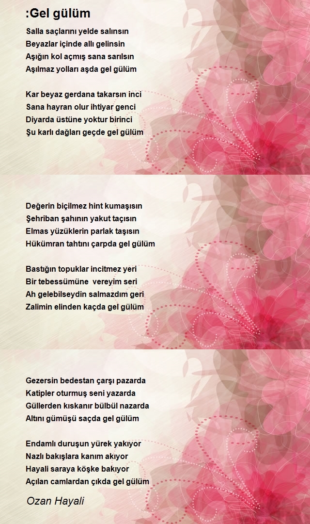 Ozan Hayali