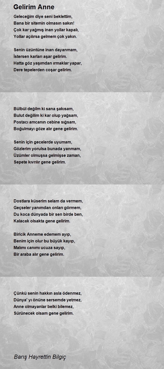 Barış Hayrettin Bilgiç