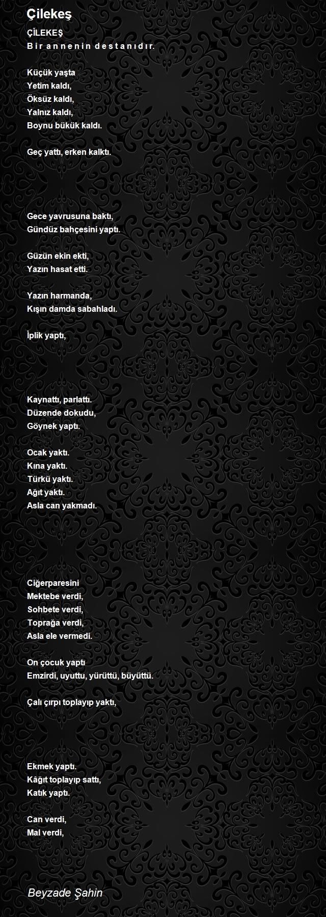Beyzade Şahin