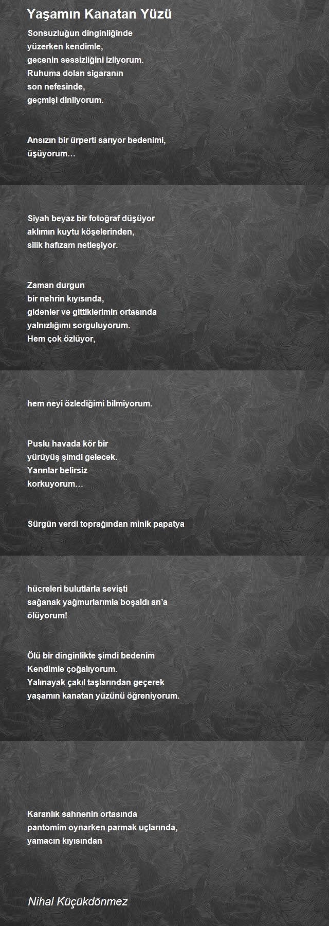 Nihal Küçükdönmez