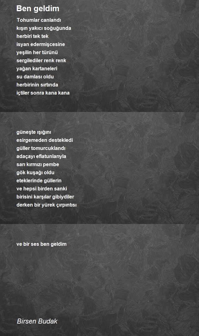 Birsen Budak