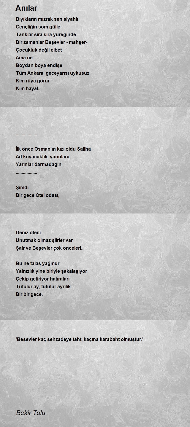 Bekir Tolu