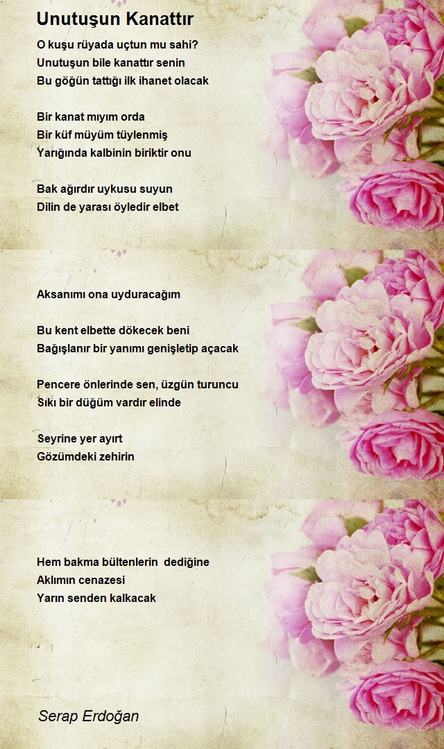 Serap Erdoğan