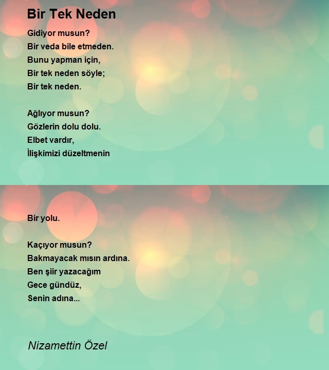 Nizamettin Özel