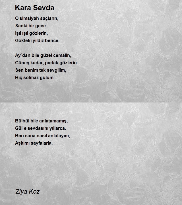 Ziya Koz