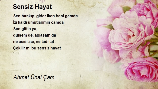 Ahmet Ünal Çam