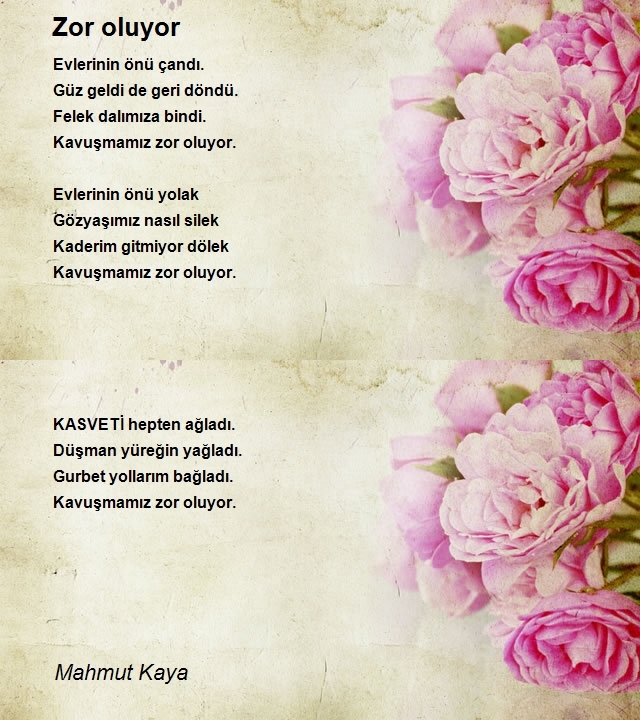 Mahmut Kaya
