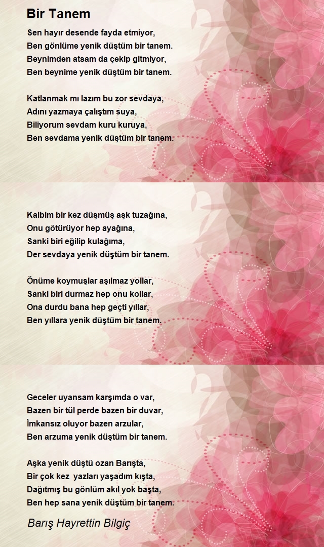 Barış Hayrettin Bilgiç