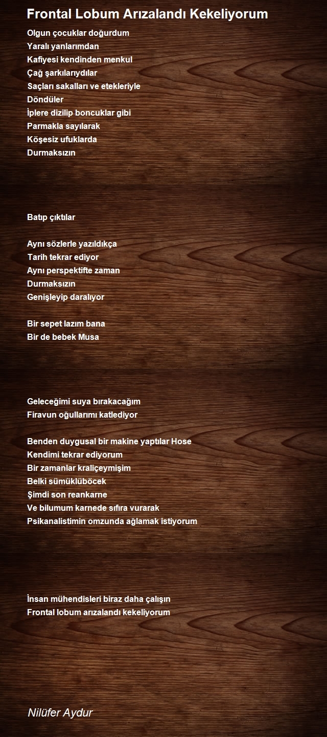 Nilüfer Aydur