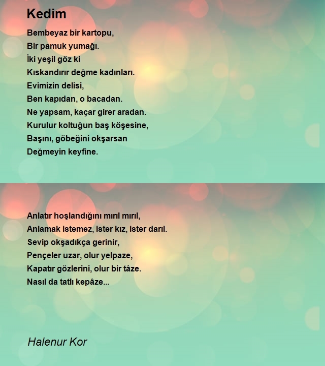 Halenur Kor