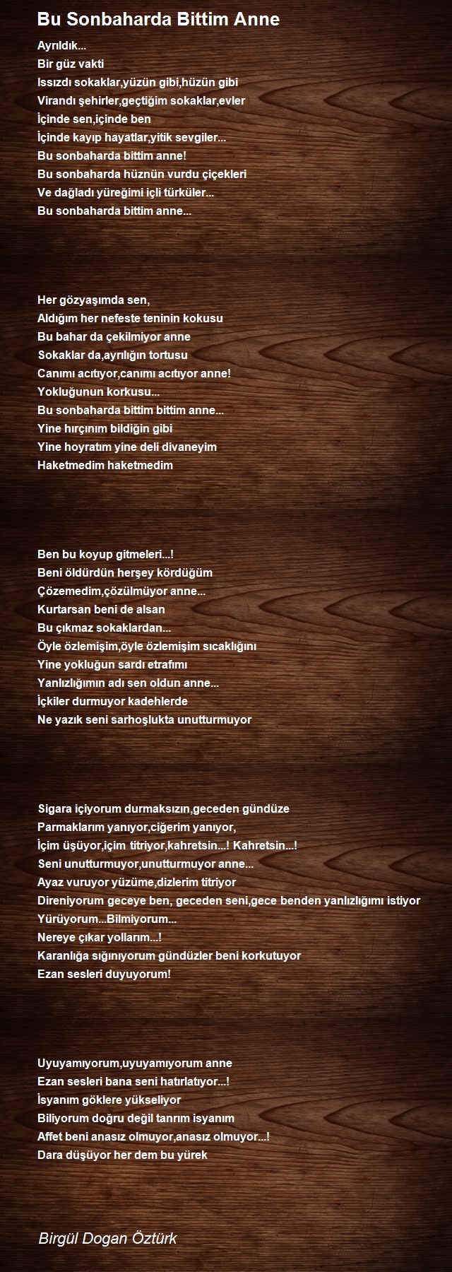 Birgül Dogan Öztürk
