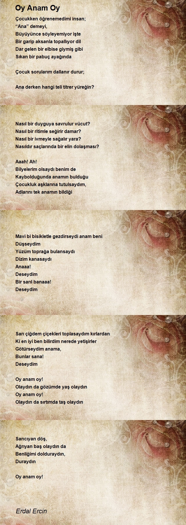 Erdal Ercin