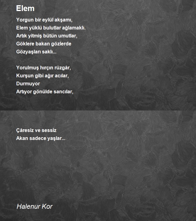 Halenur Kor