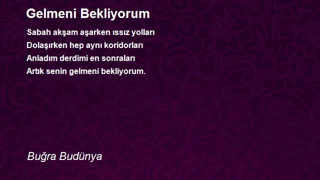 Buğra Budünya
