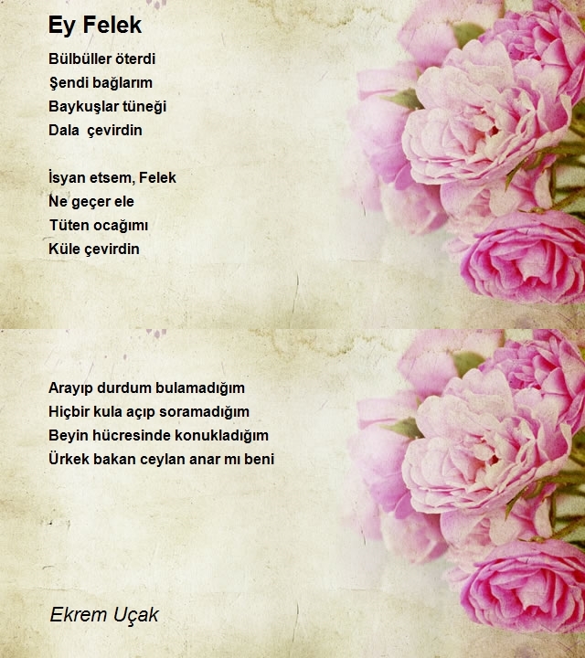 Ekrem Uçak