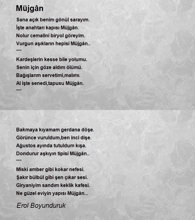 Erol Boyunduruk