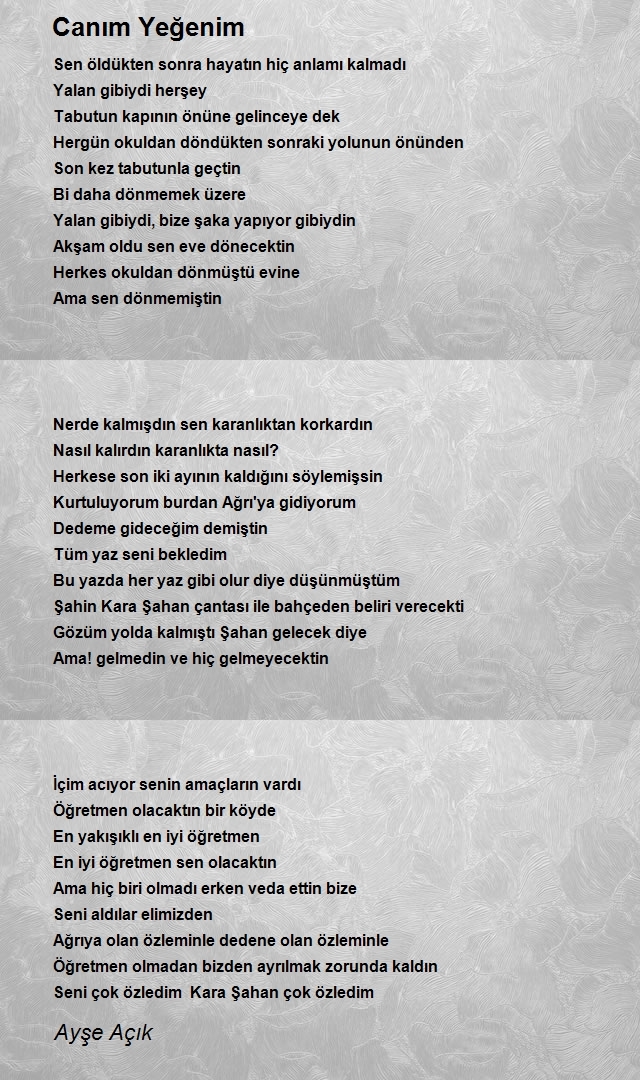 Ayşe Açık