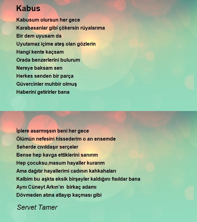 Servet Tamer