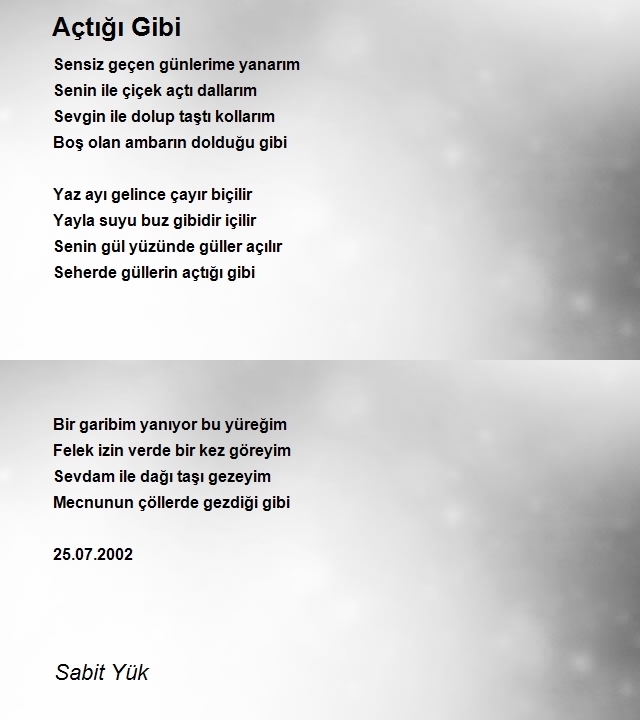 Sabit Yük