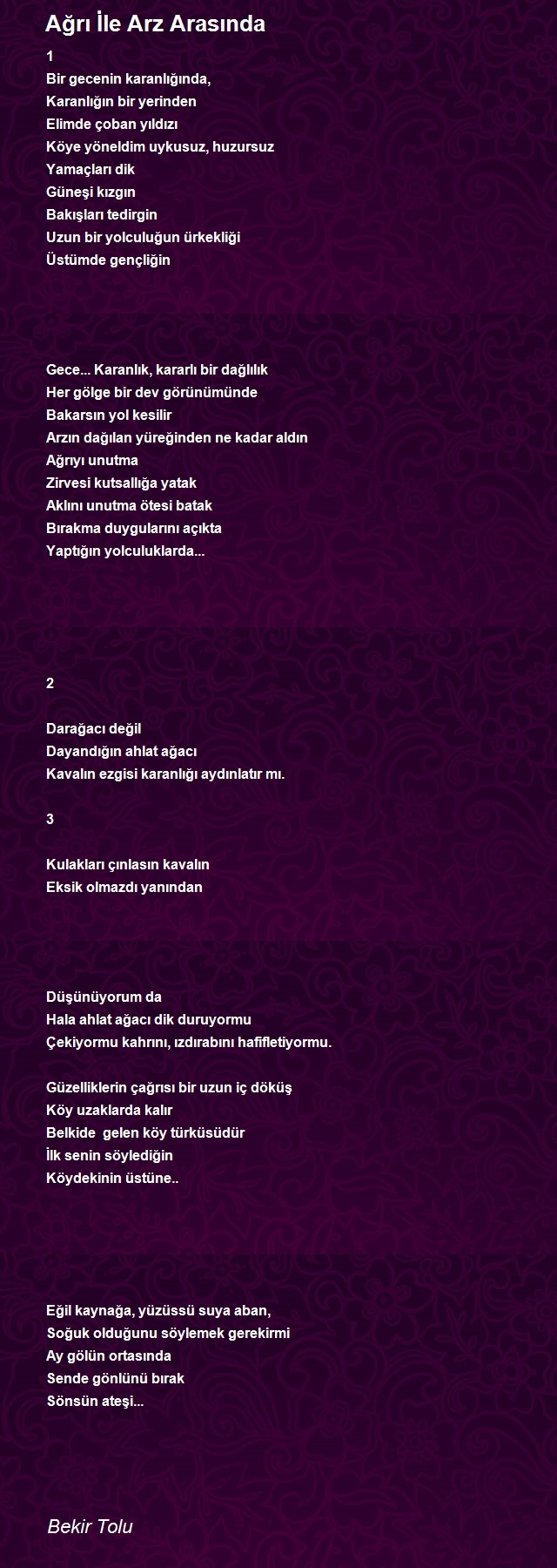 Bekir Tolu