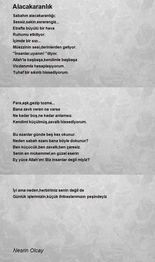 Nesrin Olcay