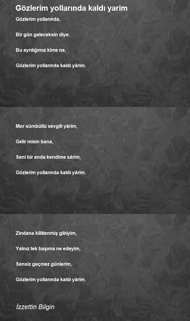 İzzettin Bilgin