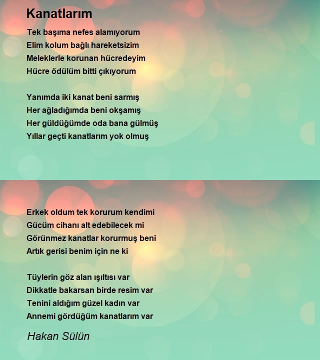 Hakan Sülün