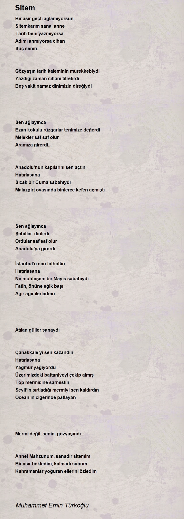Muhammet Emin Türkoğlu