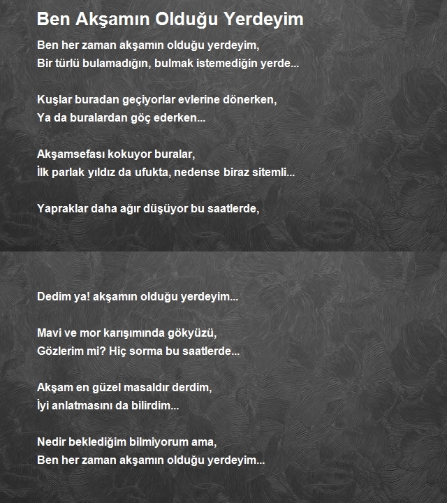 Nedim Can